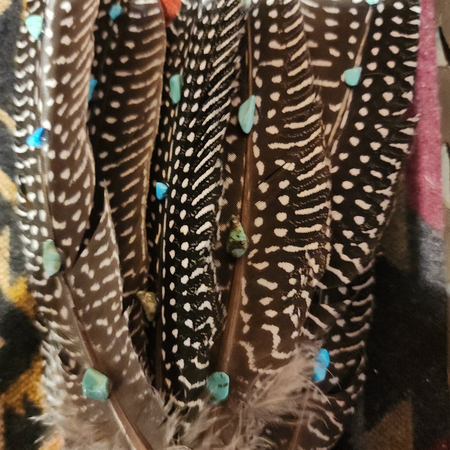 Turquoise Feathers