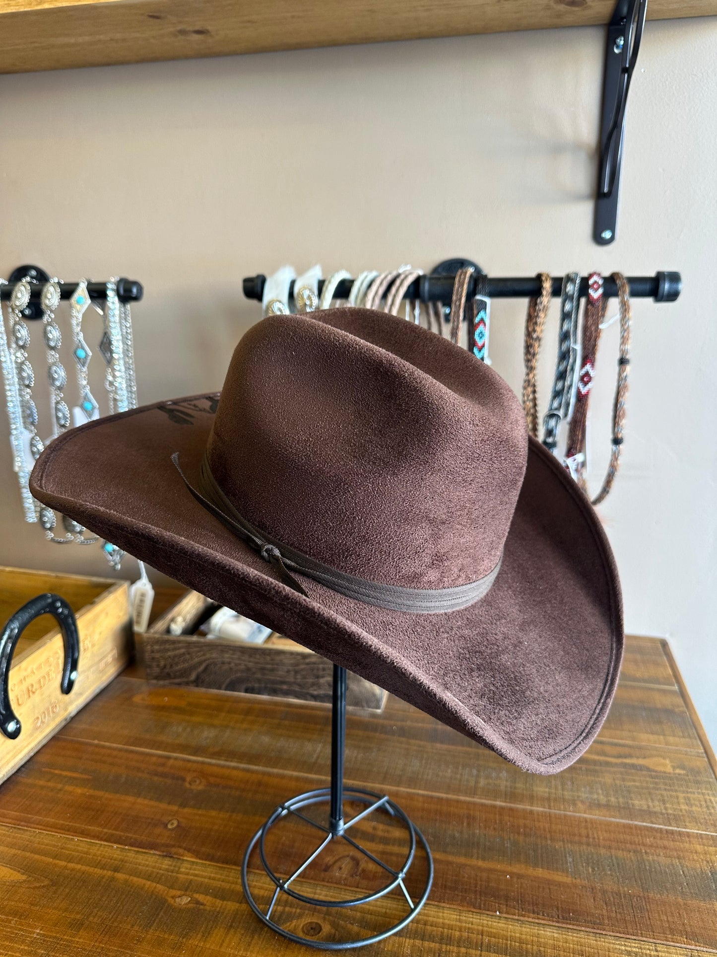 Chocolate Canyon Cowboy